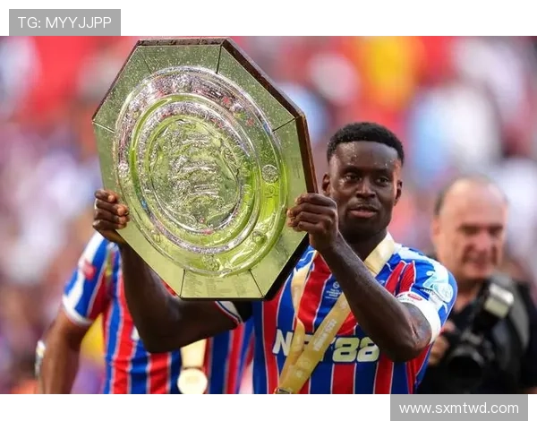 水晶宫2025赛季展望：新援加盟，球队表现备受期待