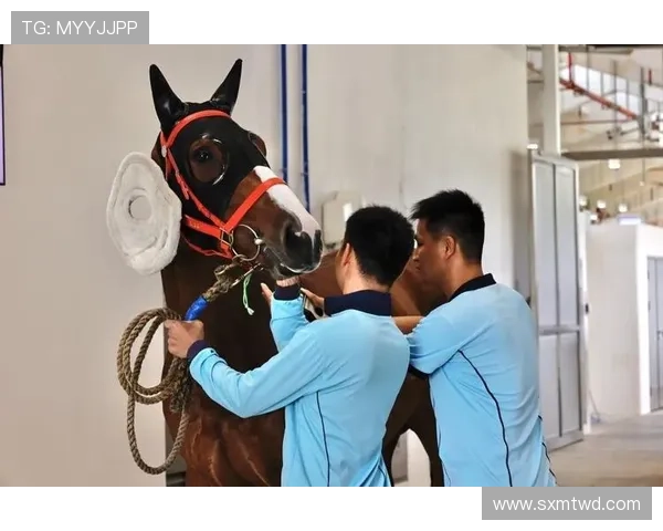 富里睡醒发现自家马场又多了两匹纯血马，账单比拳赛奖金还长