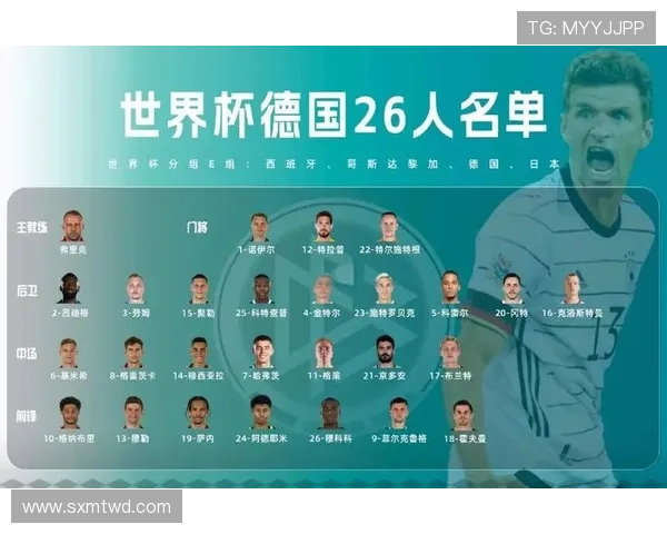 世界杯E组最新晋级概率公布